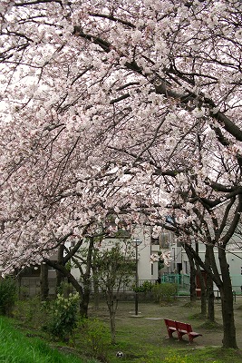 a0034419_1227135.jpg