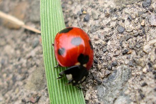 a0034419_12272026.jpg