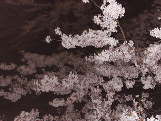 d0008925_284616.jpg