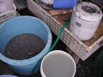 d0018025_23405824.gif