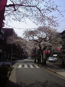 a0013134_1342241.jpg