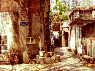 a0023740_13533851.jpg
