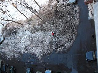c0015041_1812324.jpg