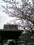 c0069552_11162023.jpg