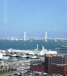 c0030363_827442.jpg