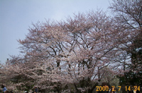 a0021670_103015100.jpg