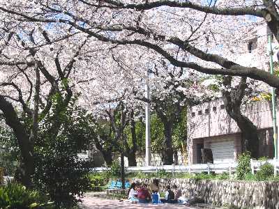 c0052673_1245287.jpg