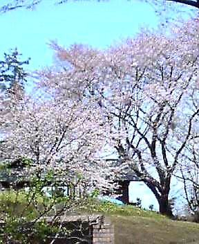 c0061774_1832253.jpg