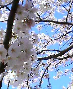c0061774_18345719.jpg