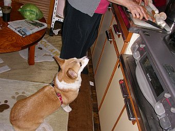 b0062687_1123535.jpg