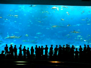 b0004189_073177.jpg