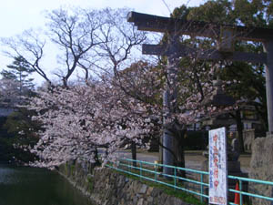 c0052689_1748640.jpg