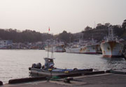 b0033490_1727352.jpg