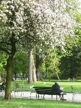 c0032799_6321783.jpg