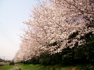 b0058816_13442062.jpg