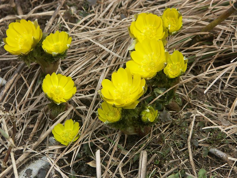 b0039226_234591.jpg