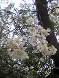 c0070940_20244568.jpg