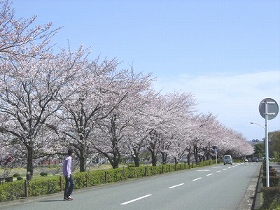b0050443_1148279.jpg