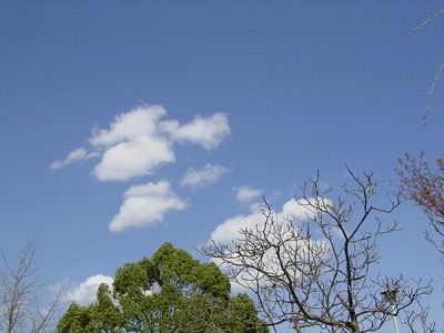 b0050443_11512864.jpg