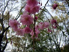 b0021650_18565828.jpg