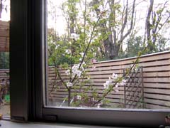 b0021650_1912673.jpg