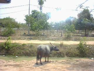 b0003270_18454053.jpg