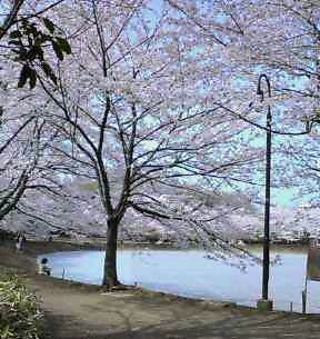 c0061774_19445450.jpg