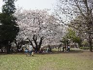c0056677_1704823.jpg