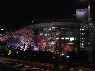 b0034284_9163973.jpg
