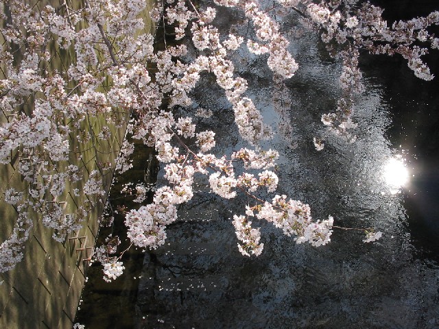 c0019396_10204256.jpg