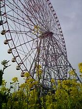 d0017796_21564139.jpg