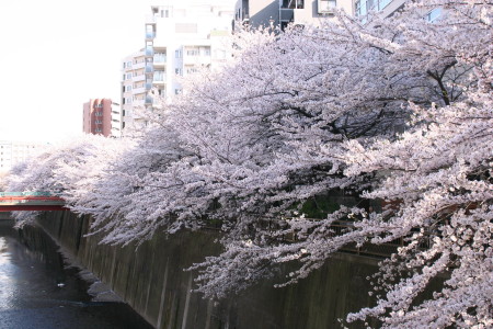 c0044199_045798.jpg
