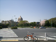 a0036412_23463837.jpg