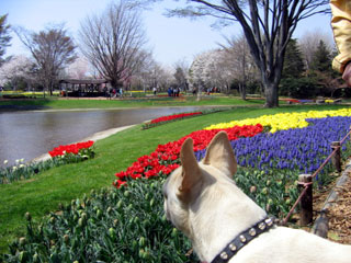 a0006321_18434749.jpg