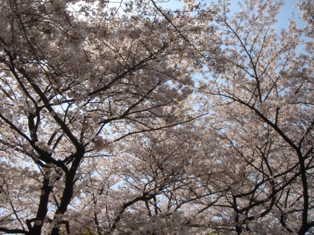 d0023323_22172546.jpg