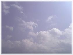 b0028330_1429513.jpg