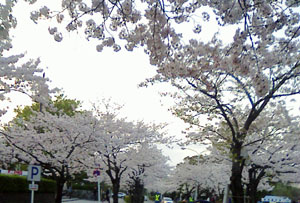 c0035043_23151854.jpg