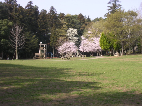 c0065643_20313022.jpg