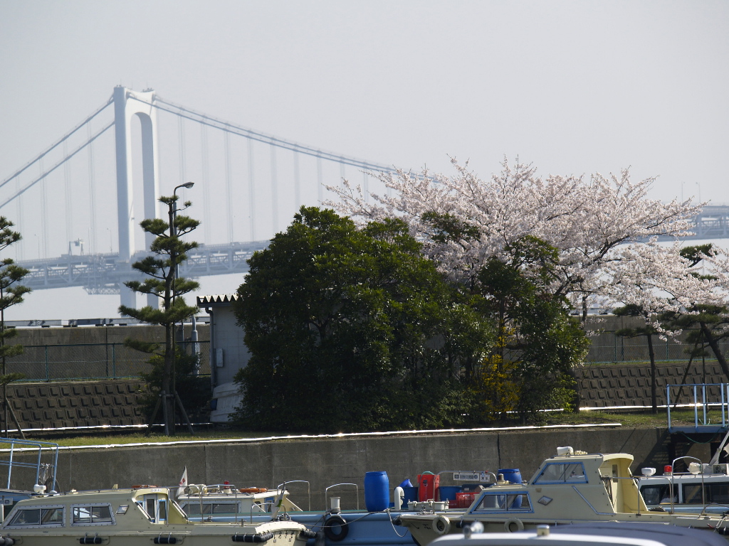 c0066245_1755116.jpg