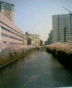 b0046349_1282189.jpg