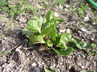 c0068149_0281382.jpg