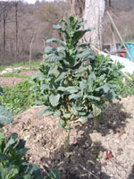 c0068149_0291624.jpg