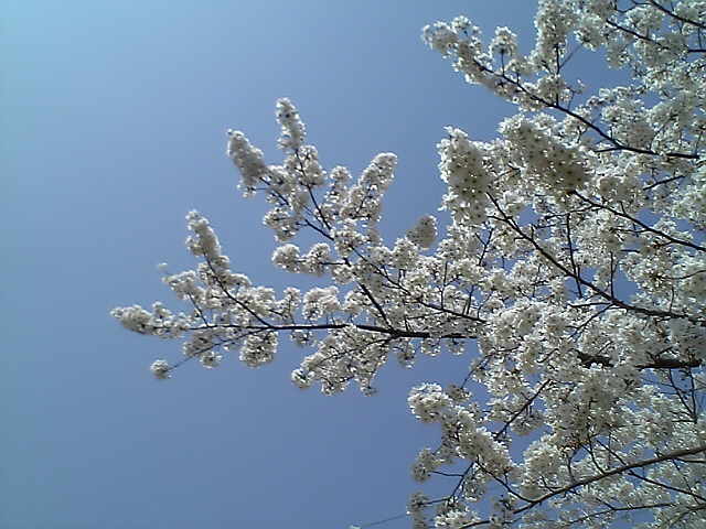 c0073649_0155032.jpg