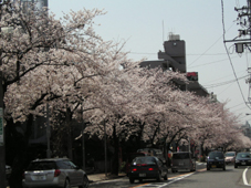 c0069552_16137.jpg