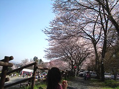 c0045882_20455947.jpg