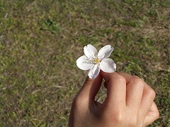 c0045882_20515496.jpg