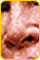 a0028694_21415966.jpg