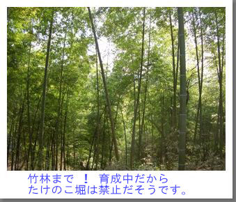 d0001509_22291763.jpg