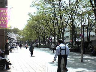 b0059410_734983.jpg