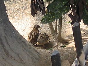 d0006812_17351032.jpg